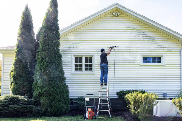 professional siding installation Clinton Township, MI